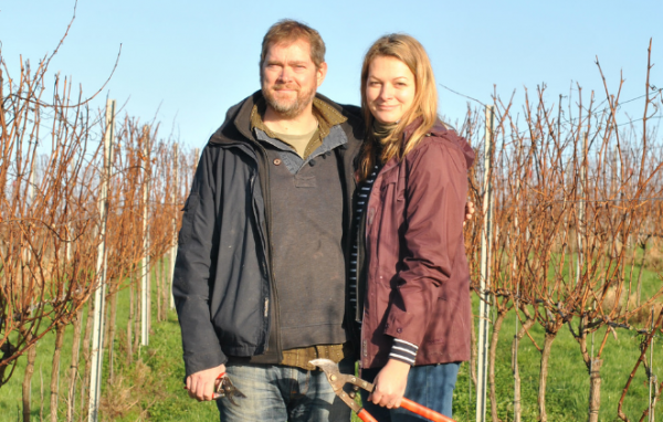 Award winning vineyard fizzes with funding support