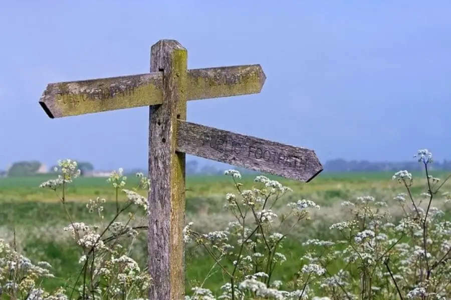 Support for farms and rural businesses