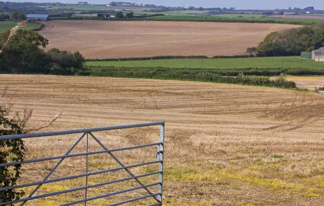 Brexit – now is the time to consider your mortgage options