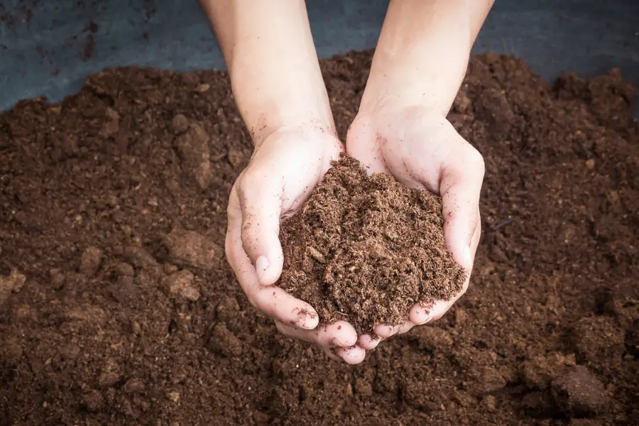 Business plans are key to securing farm, equestrian and rural business finance and mortgages