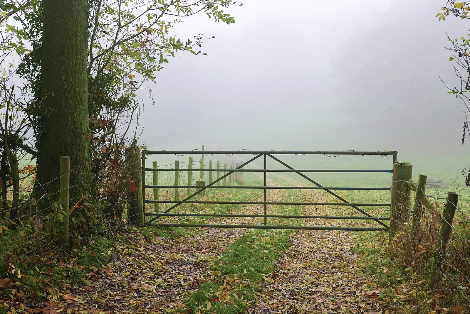 Farm finance – outlook for 2026