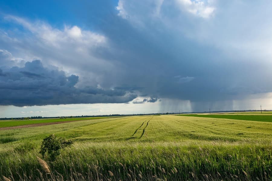 The storm ahead: how a super El Niño could hit UK farming